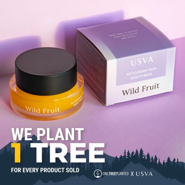 Wild Fruit Antioksüdantiderikas Ilusalv, 30ml - Image 2